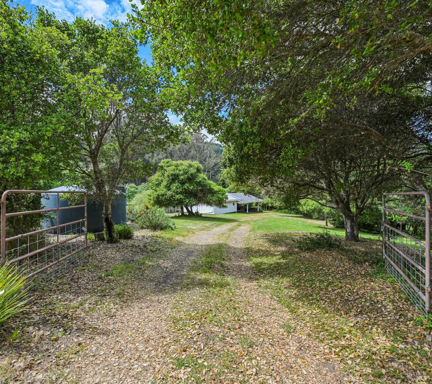 Property photo 44
