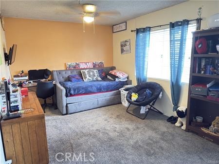 Property photo 49