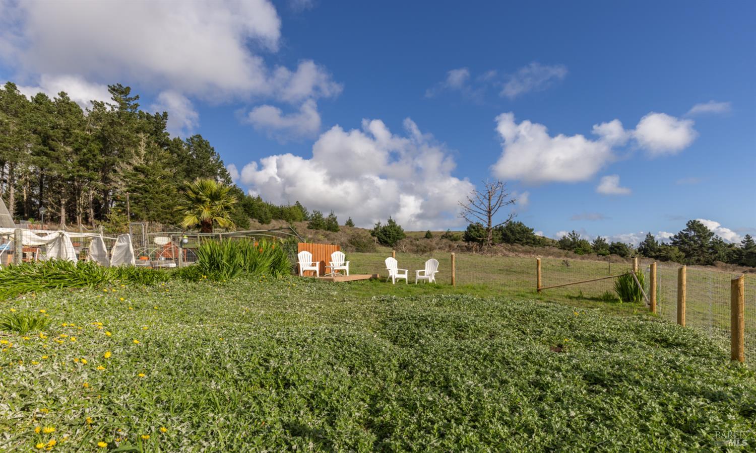 Property photo 19