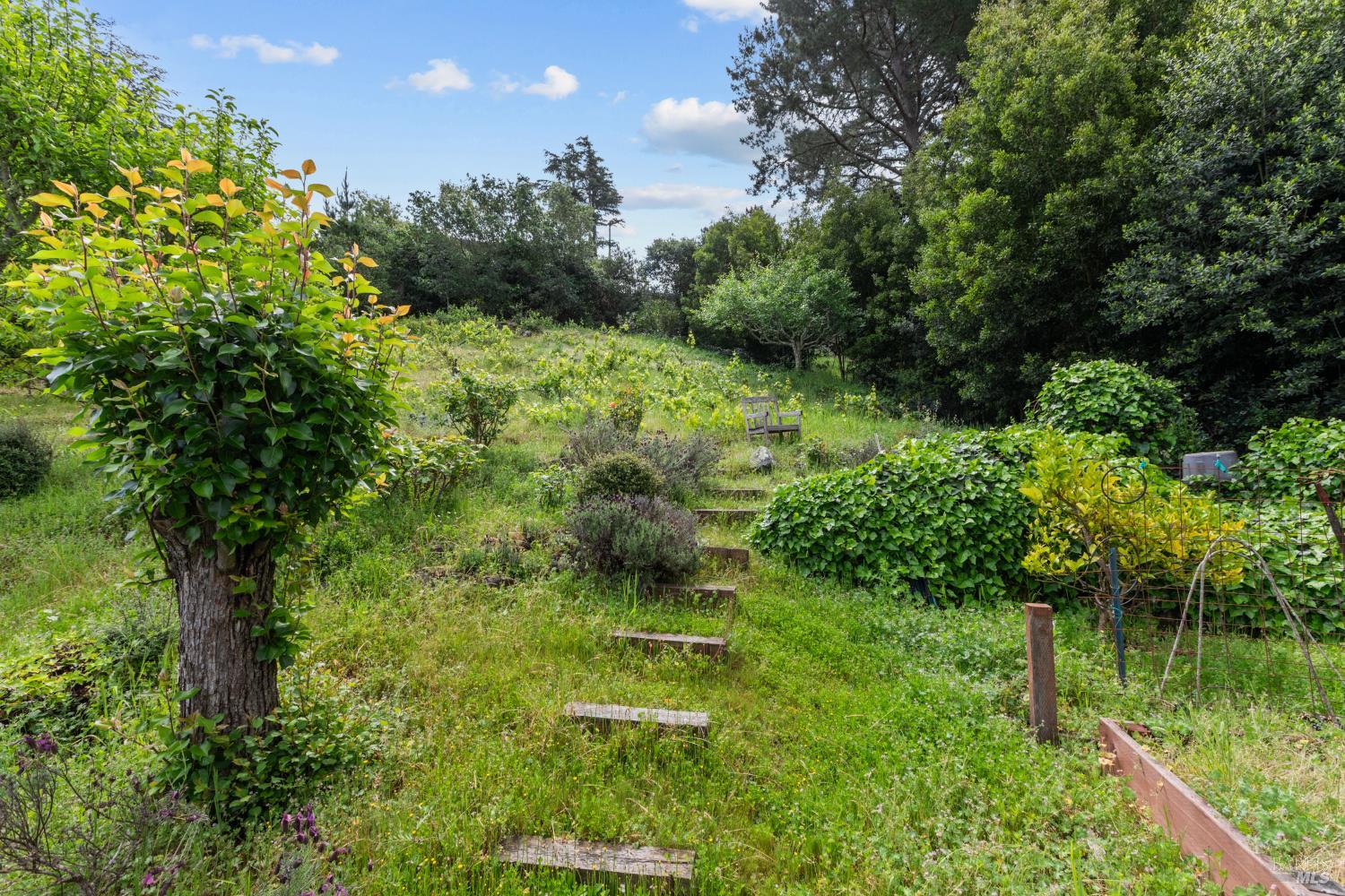 Property photo 35