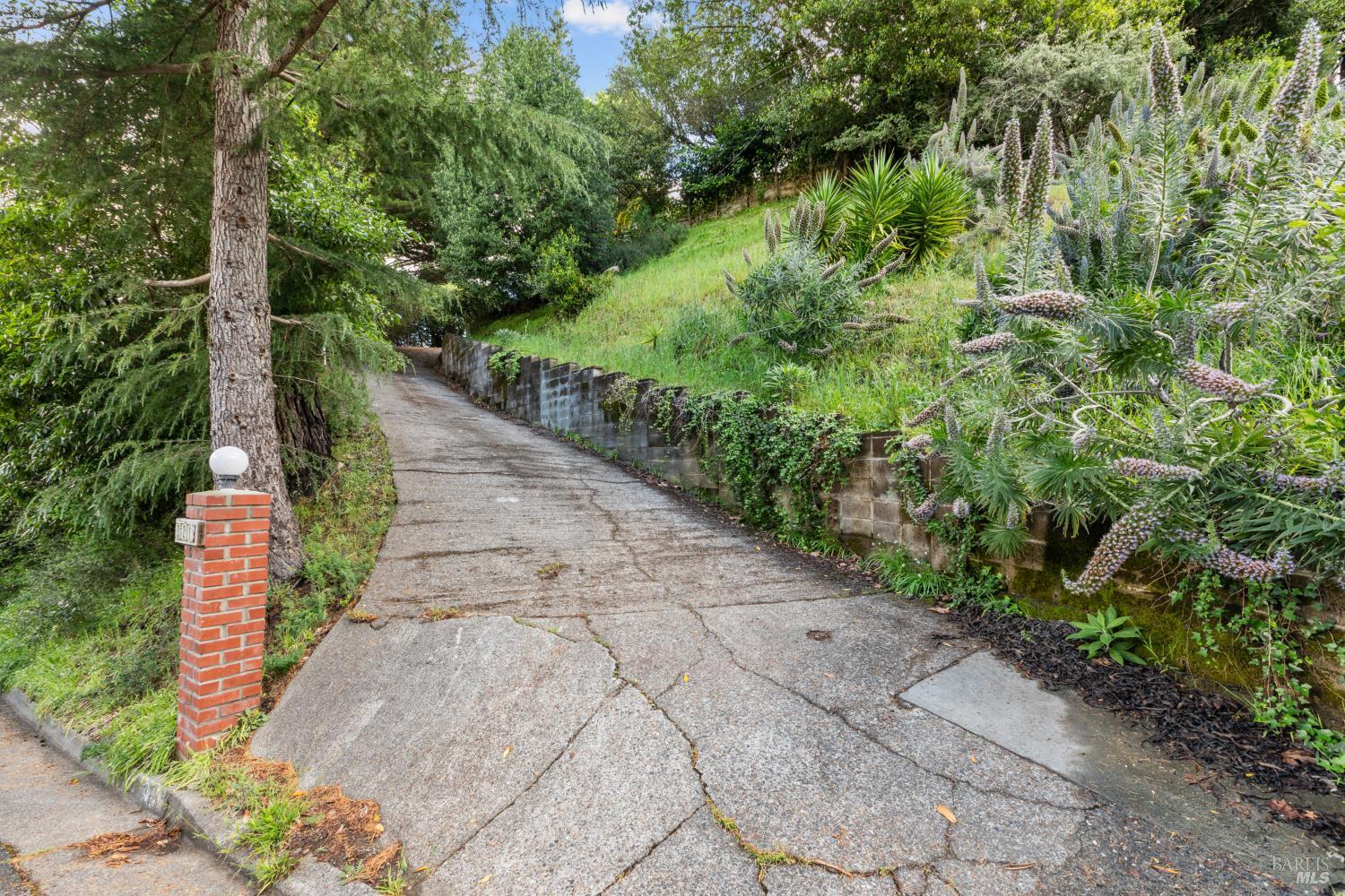 Property photo 36