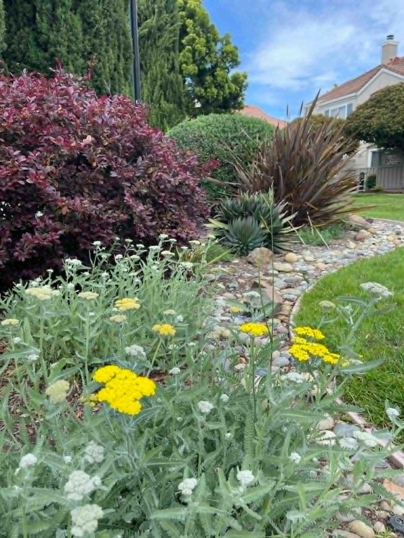Property photo 40