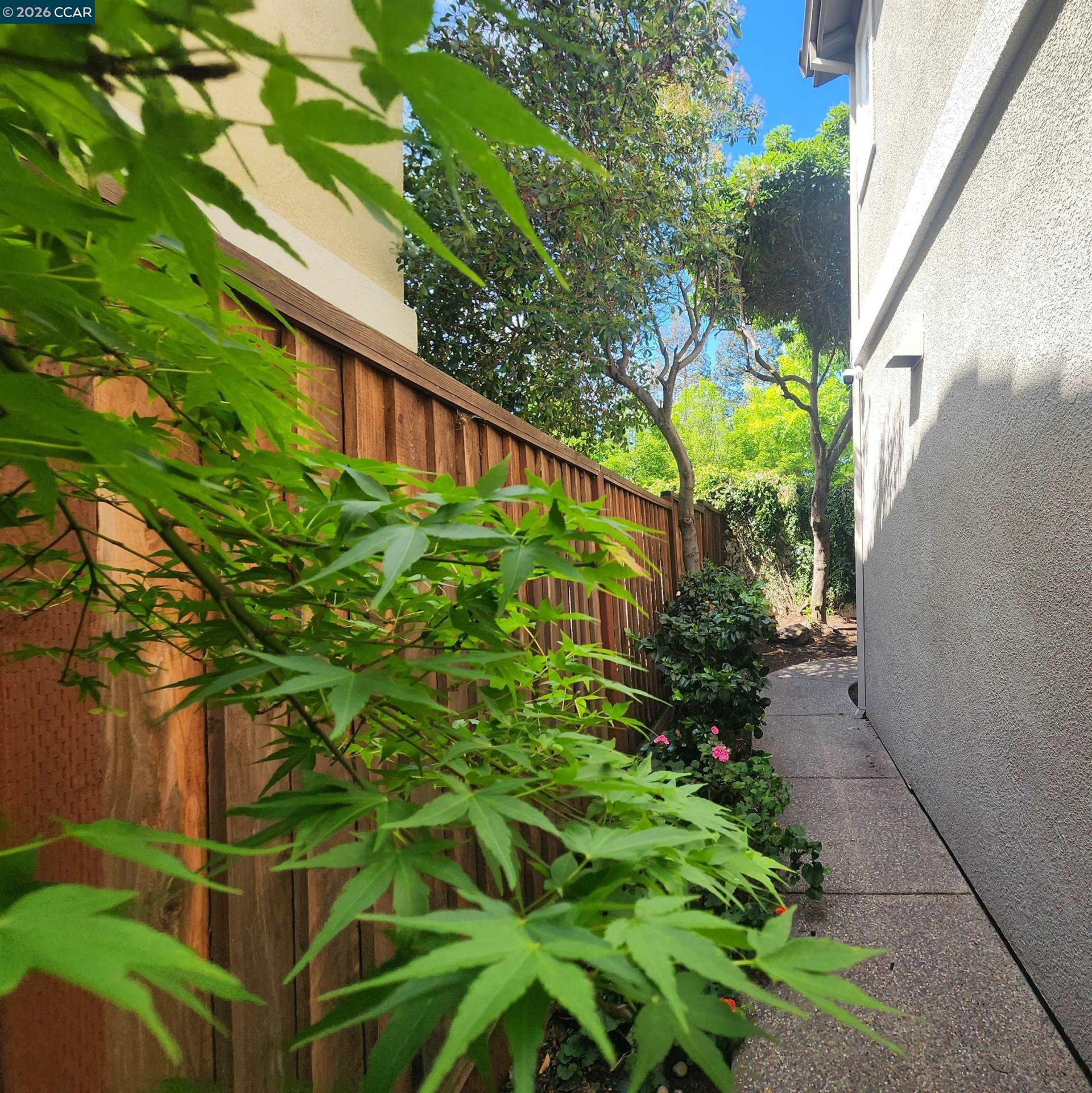 Property photo 44