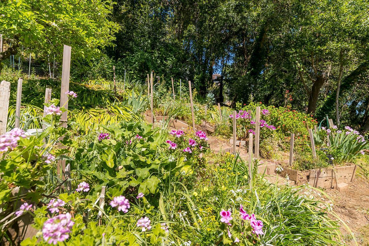 Property photo 48
