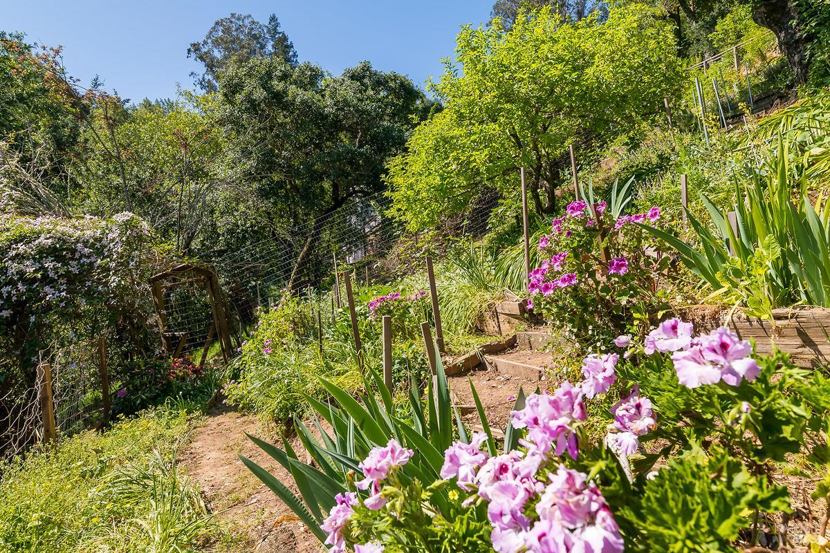 Property photo 49