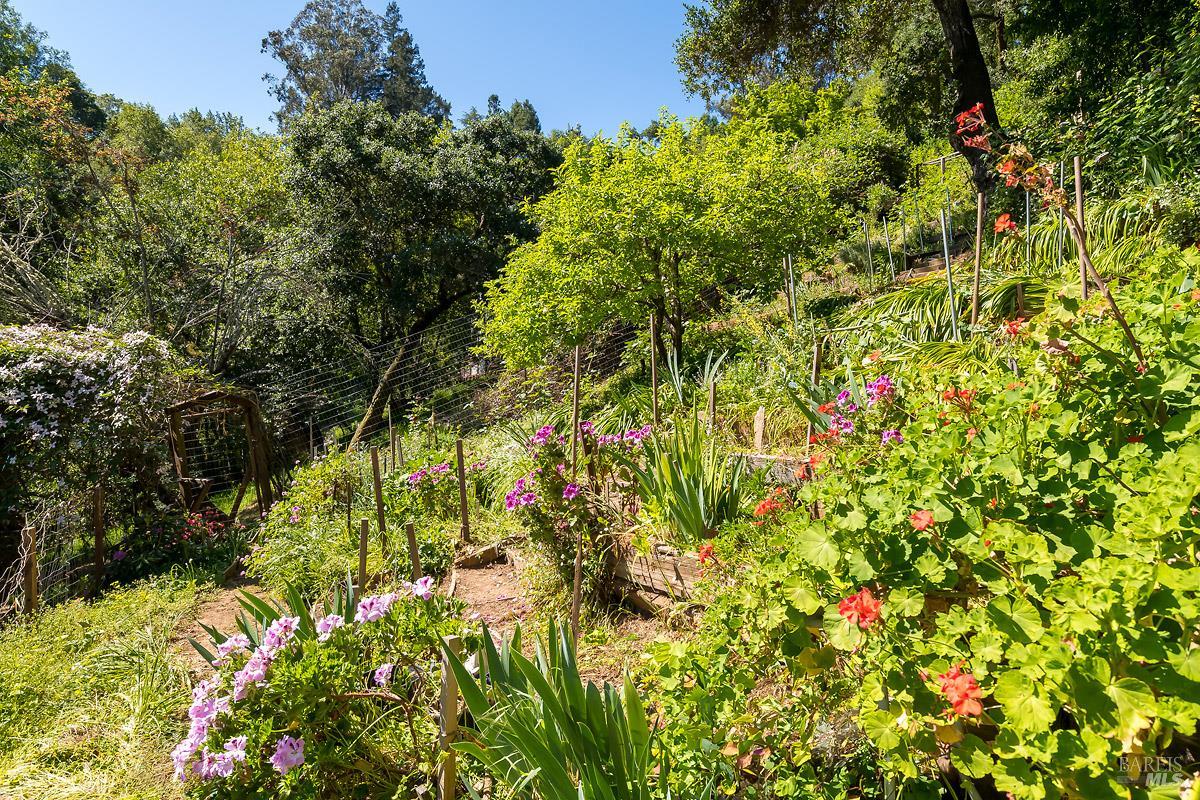 Property photo 50
