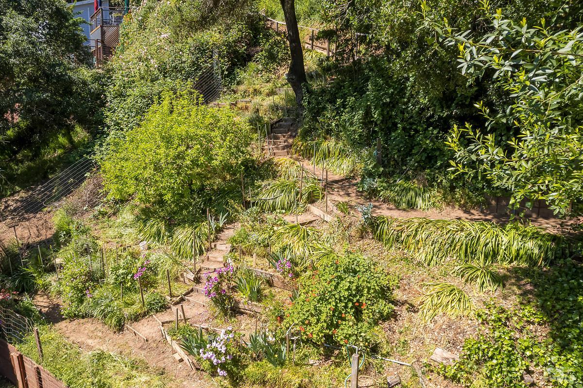 Property photo 51