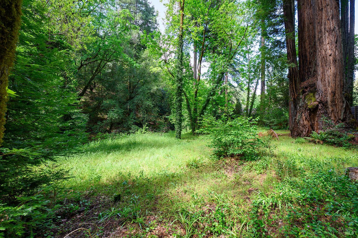 Property photo 41