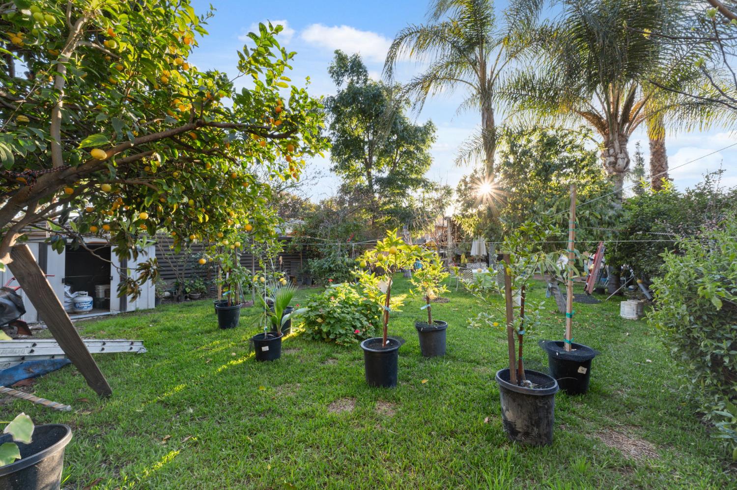 Property photo 24