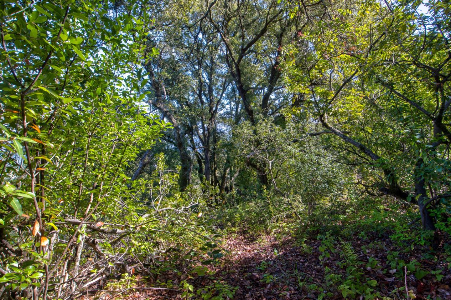 Property photo 31