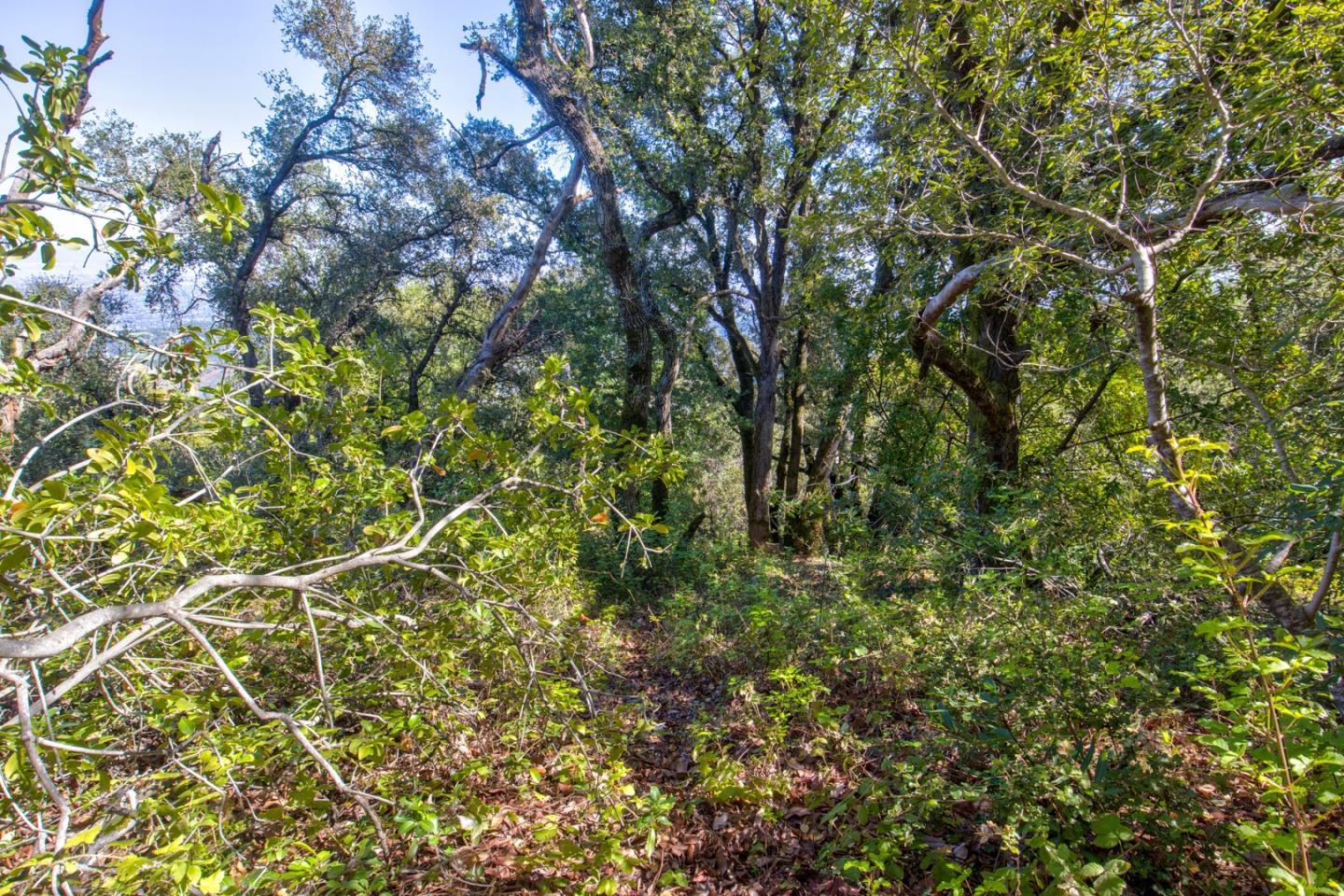 Property photo 32