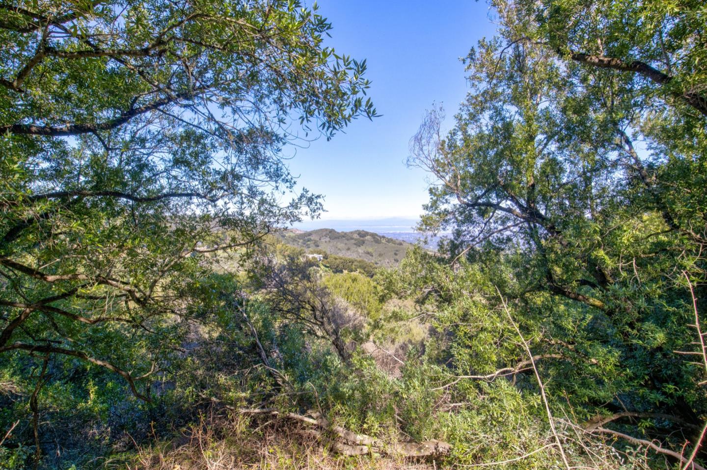 Property photo 35