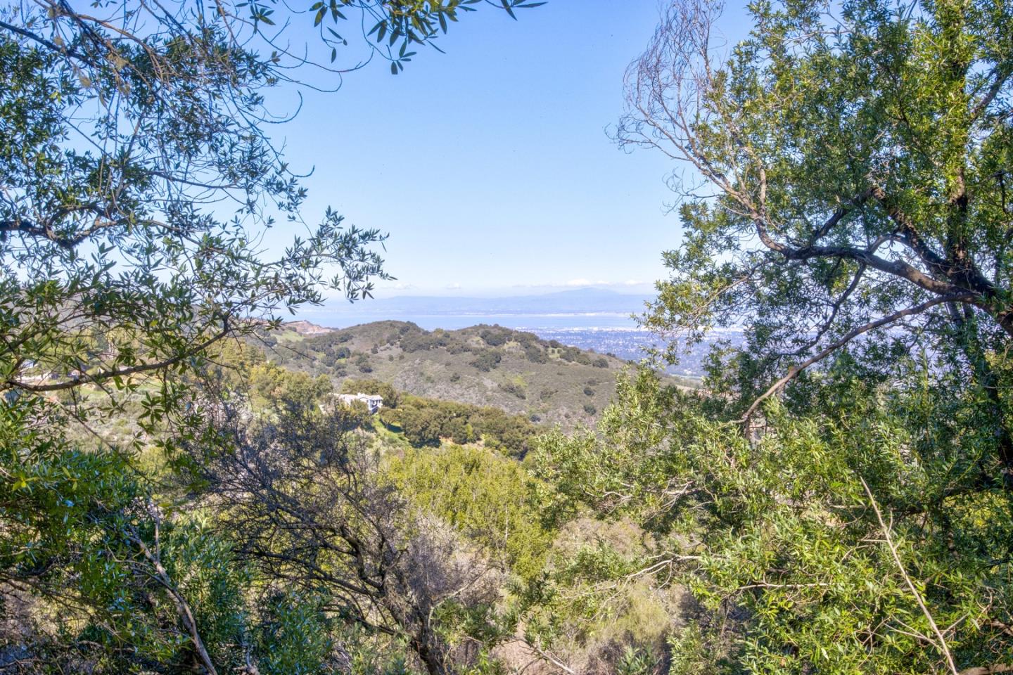 Property photo 36