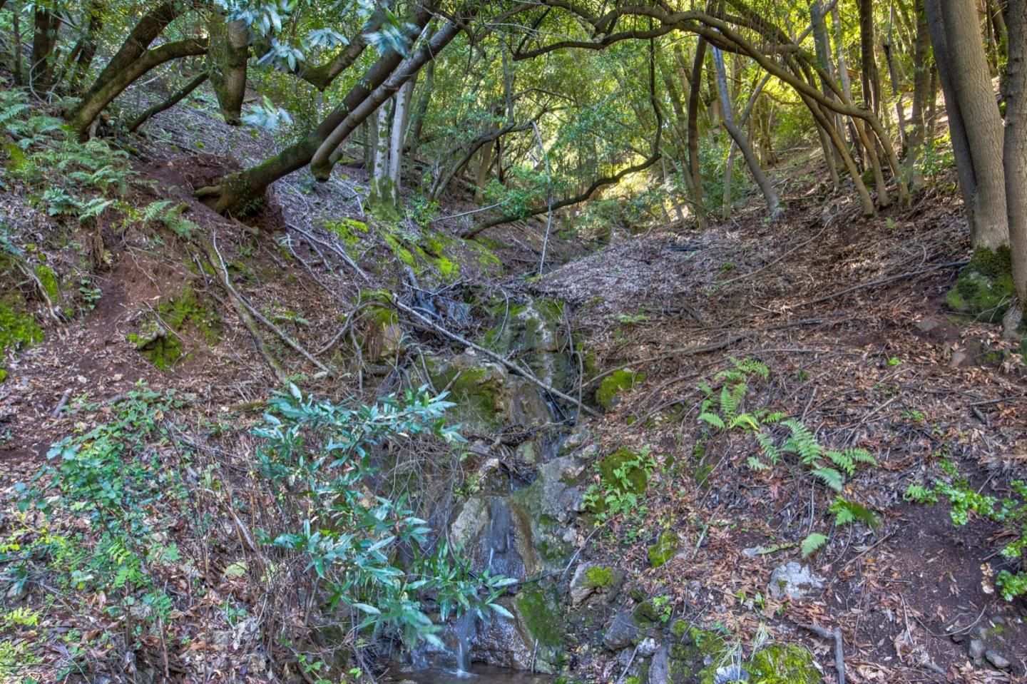 Property photo 37