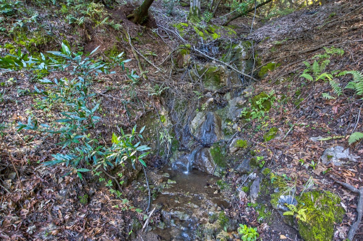Property photo 38
