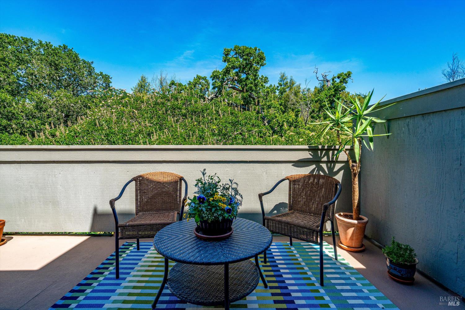 Property photo 39