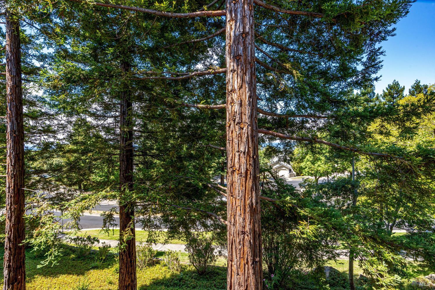 Property photo 42