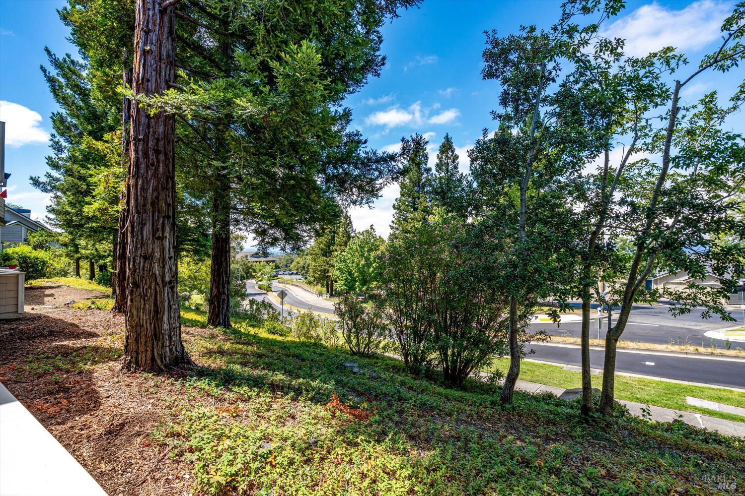 Property photo 46