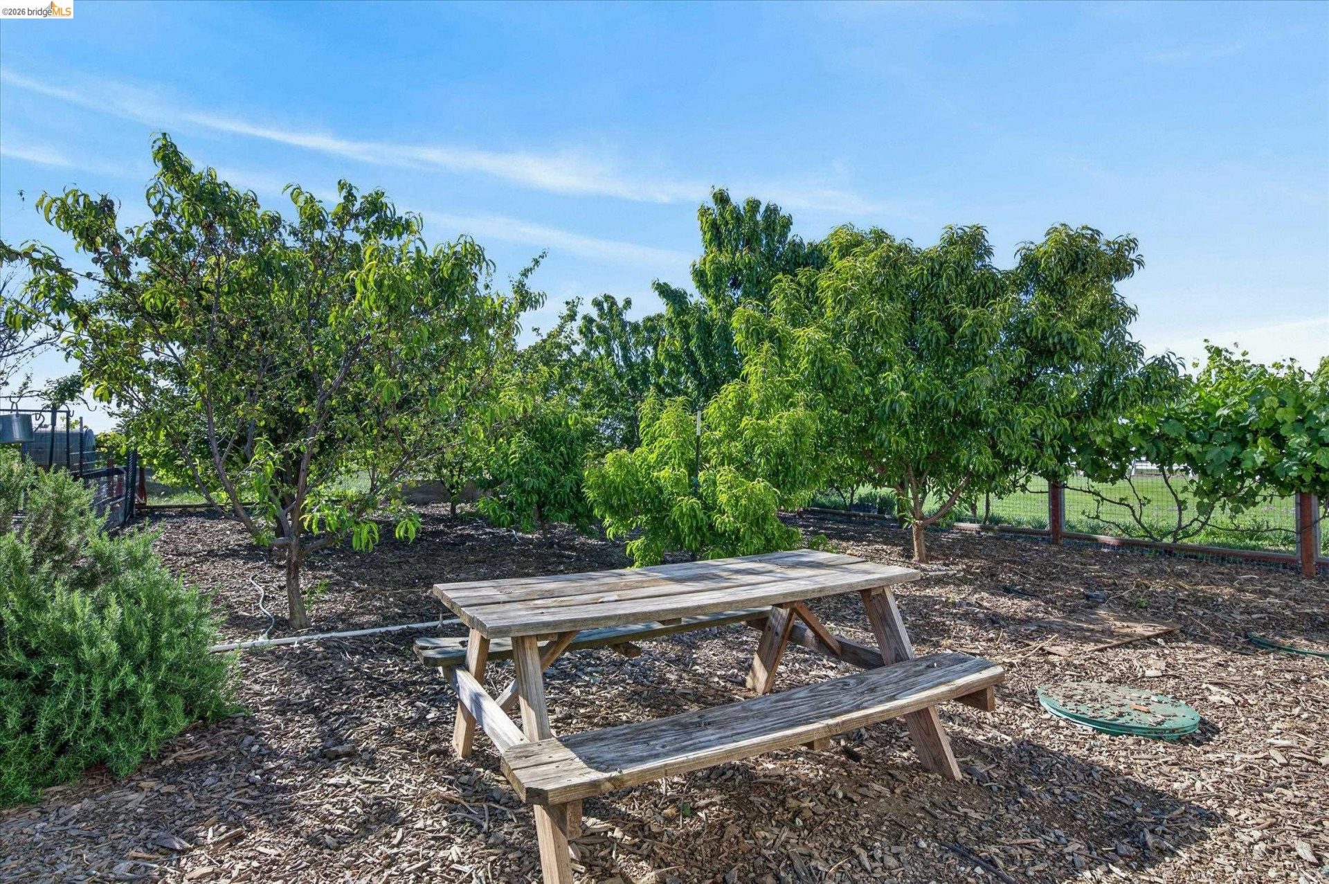 Property photo 51