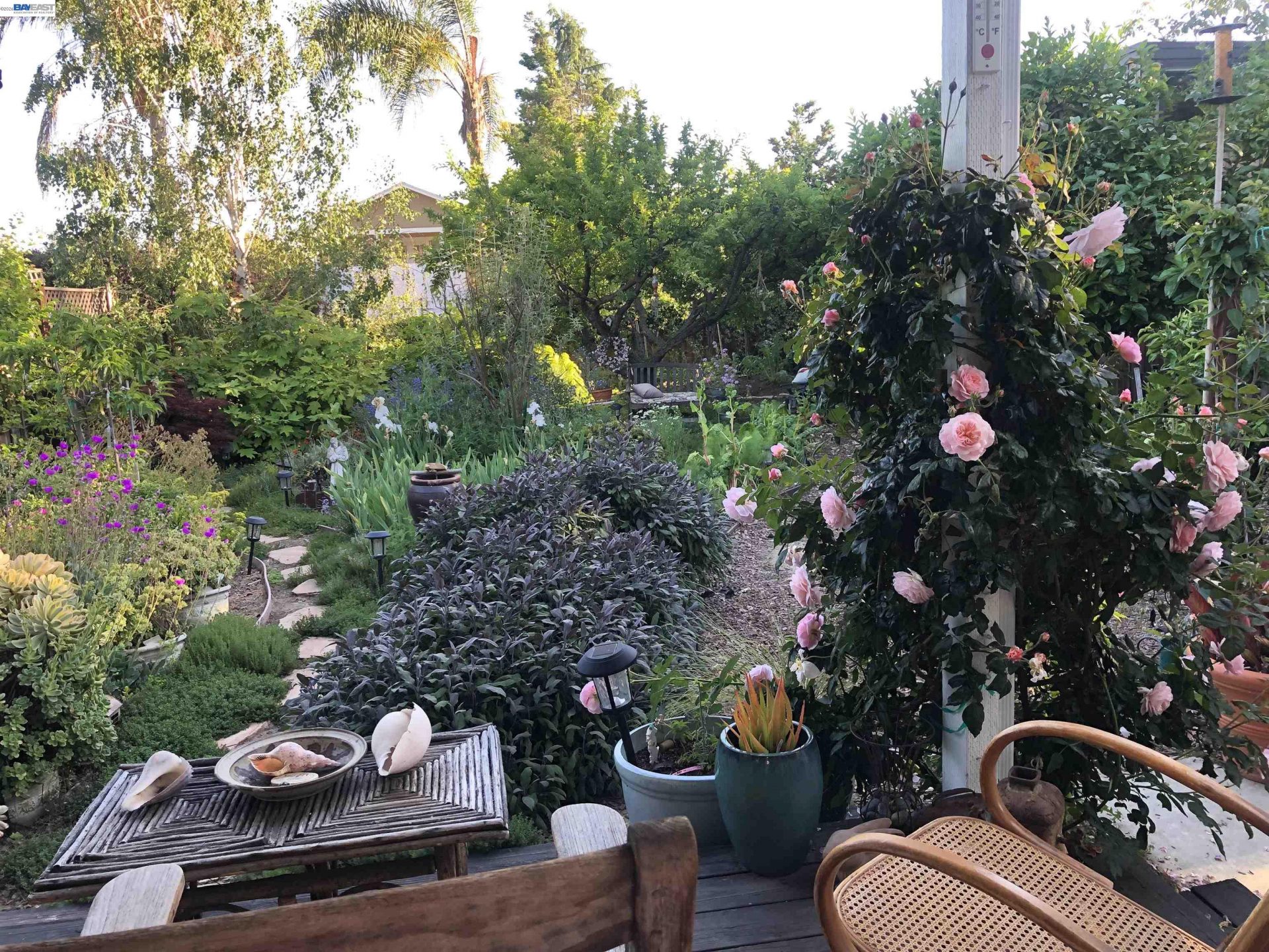 Property photo 42