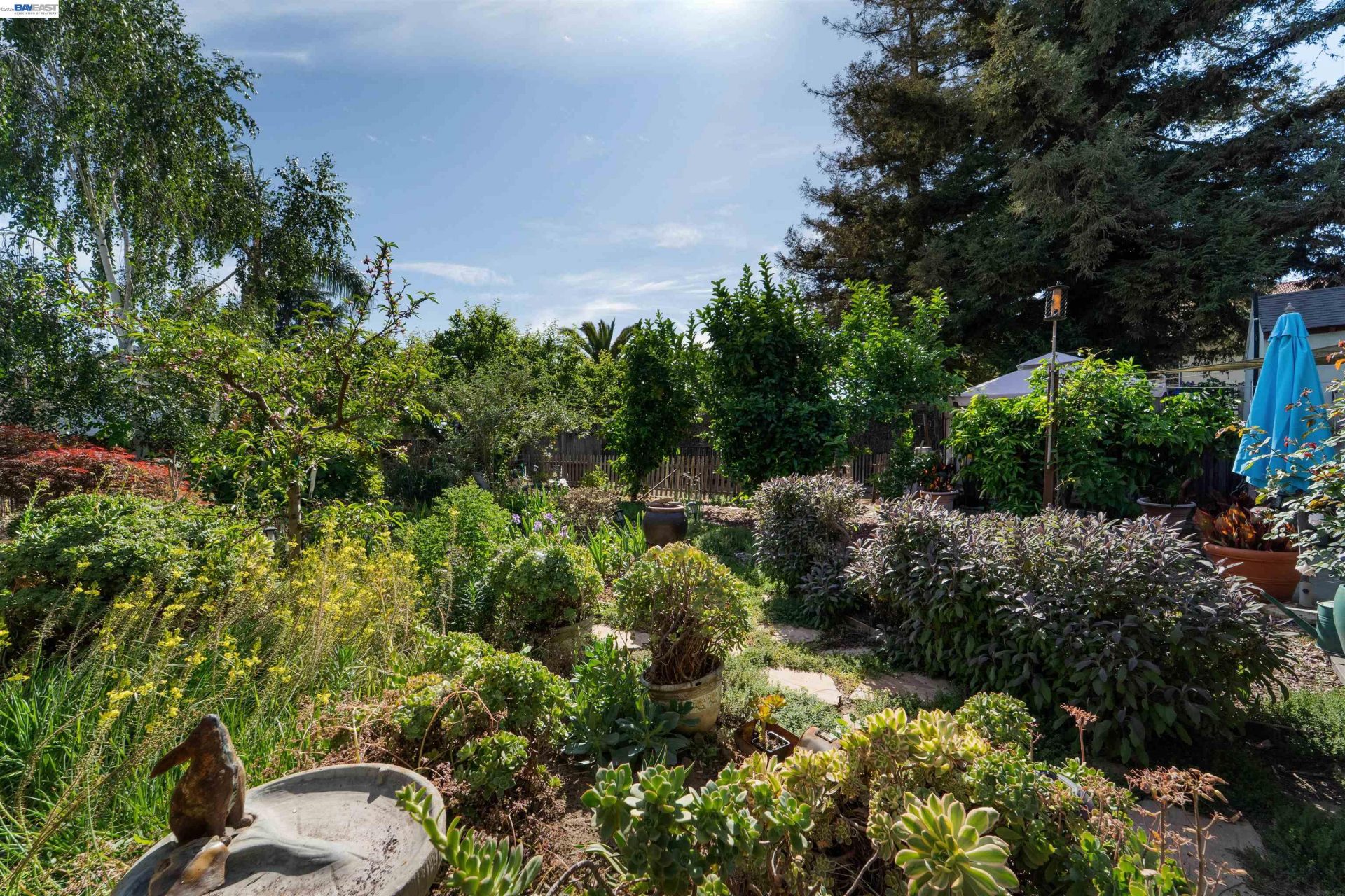 Property photo 48