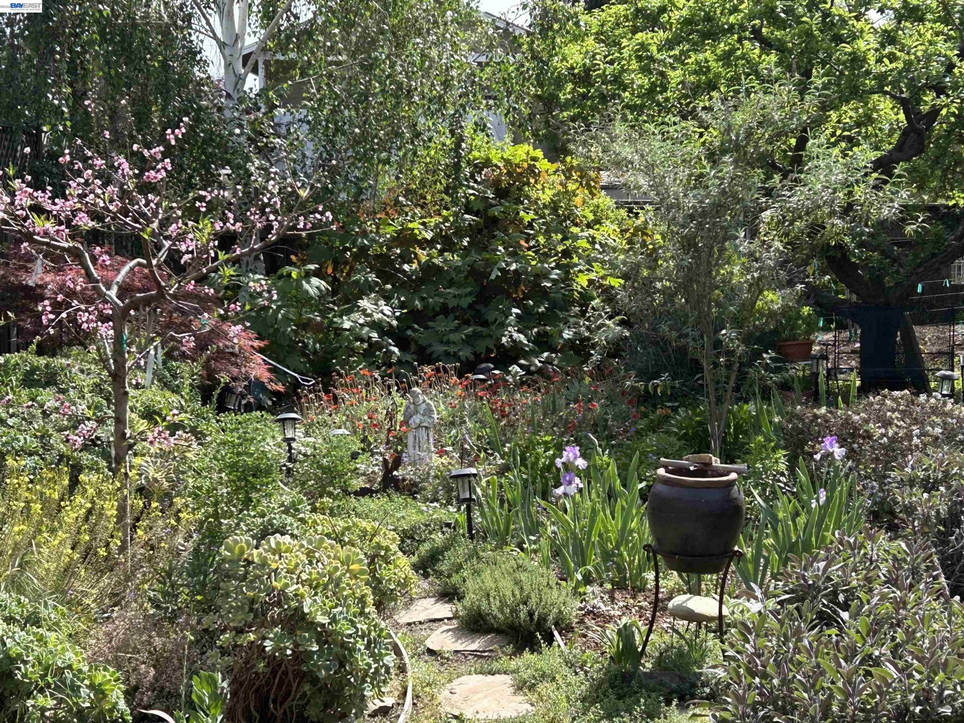 Property photo 49