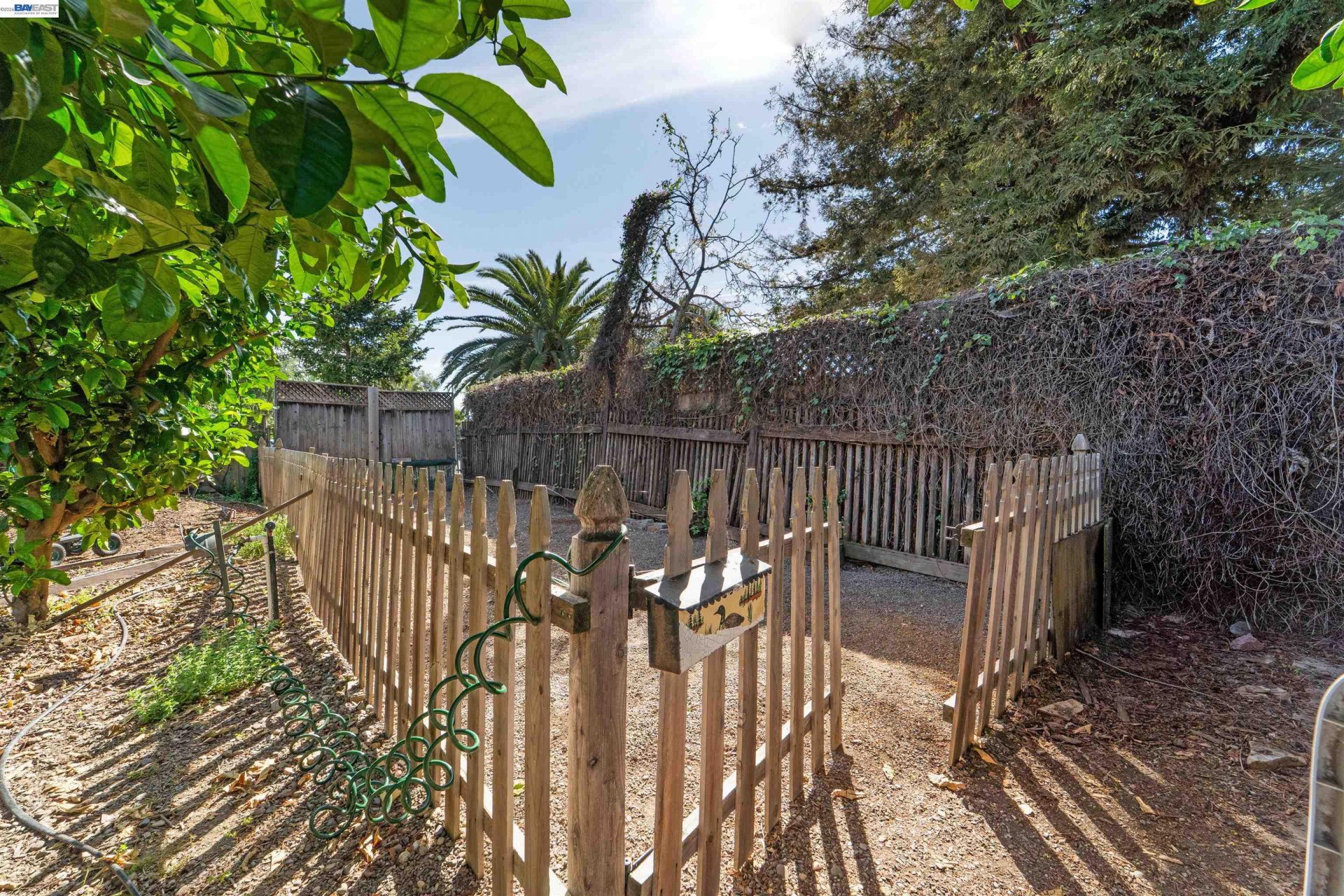 Property photo 51