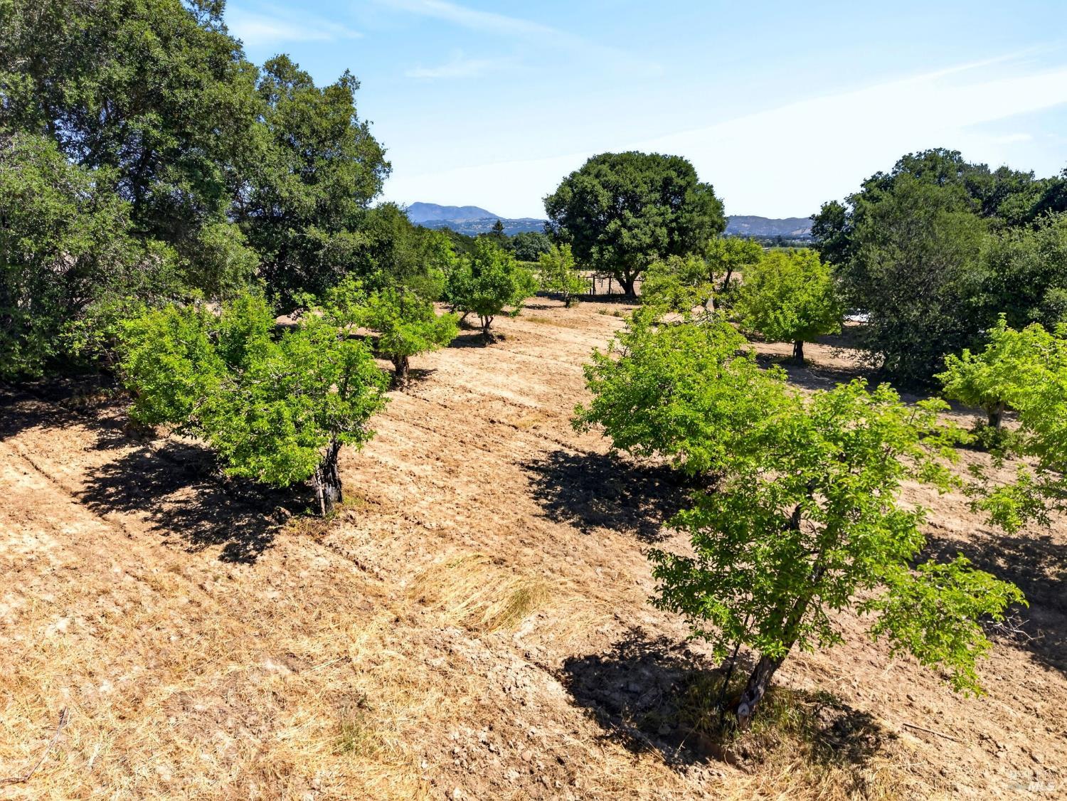 Property photo 45