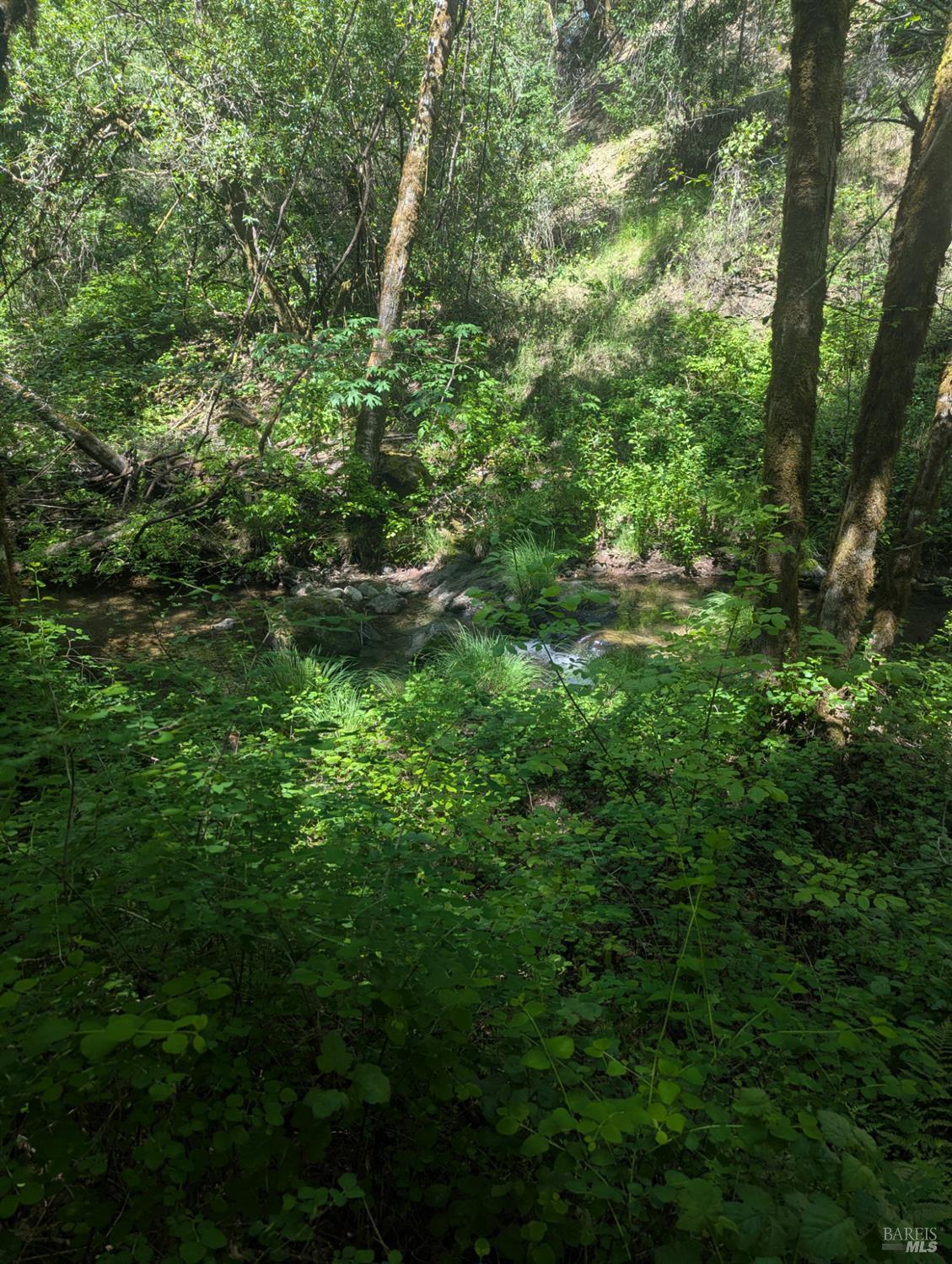 Property photo 25