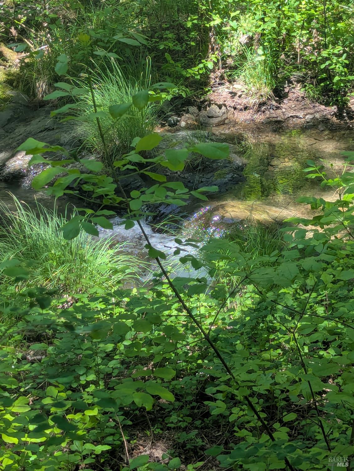 Property photo 26