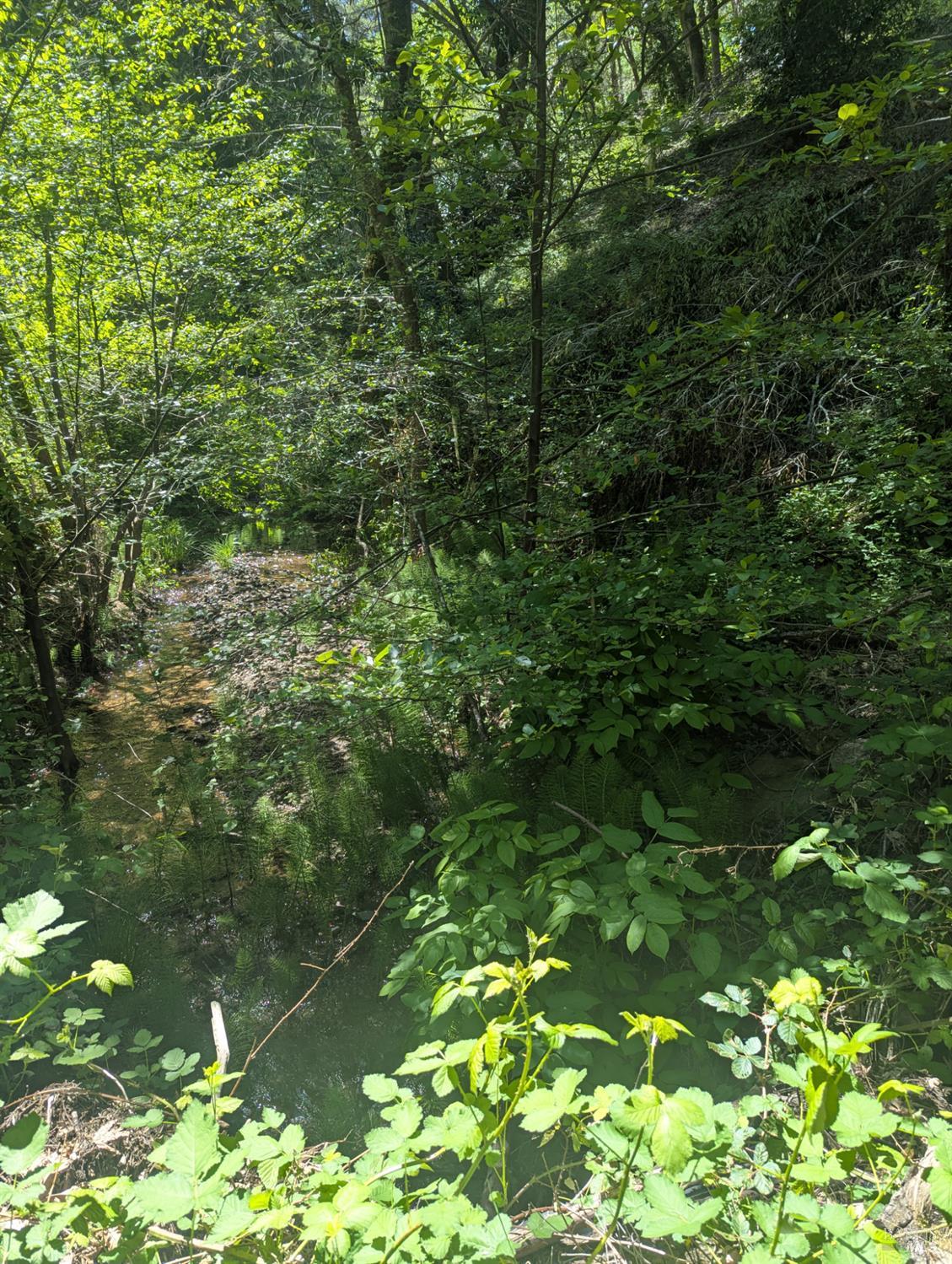 Property photo 27
