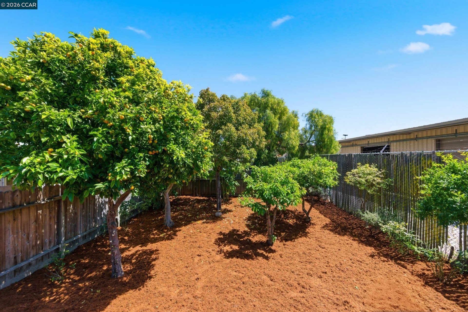 Property photo 38