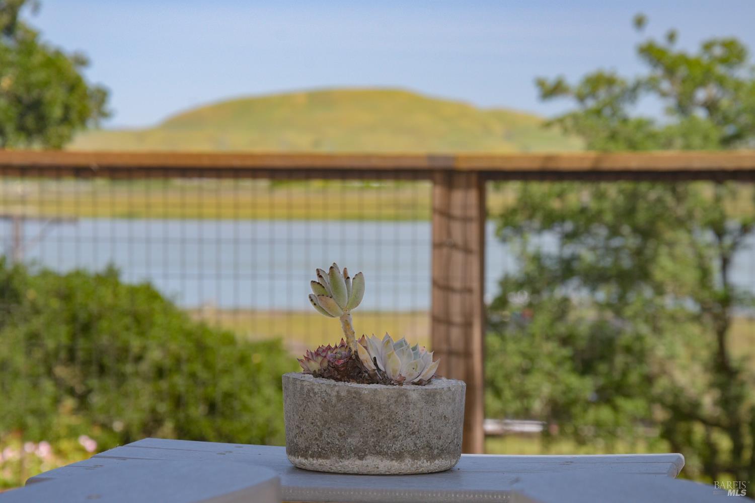 Property photo 45