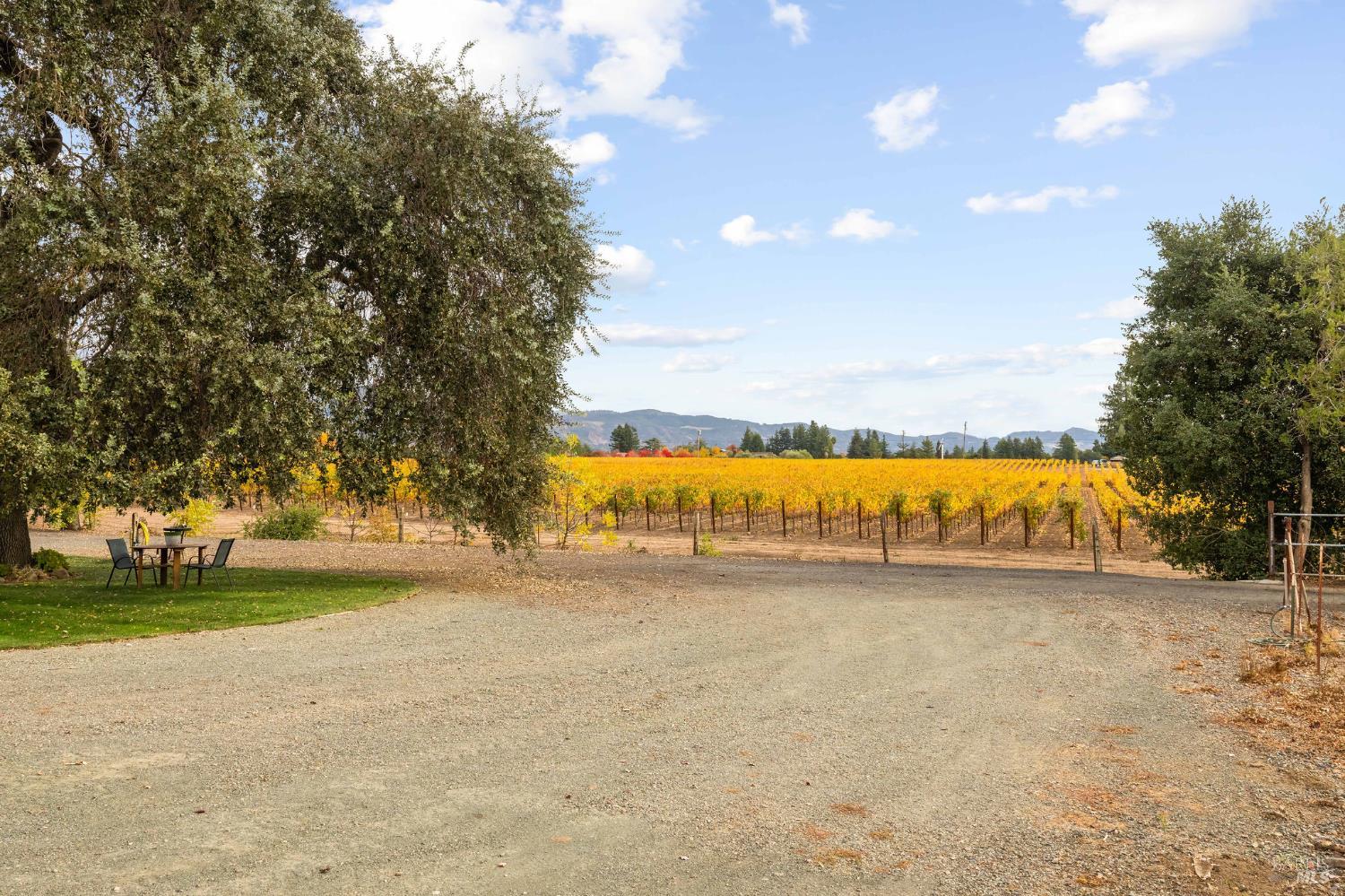 Property photo 41