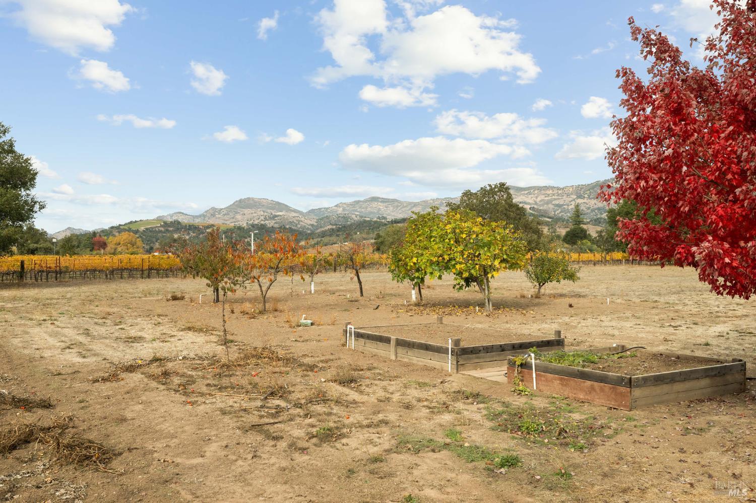 Property photo 43