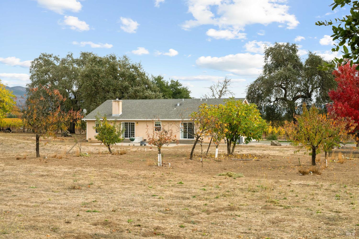 Property photo 47