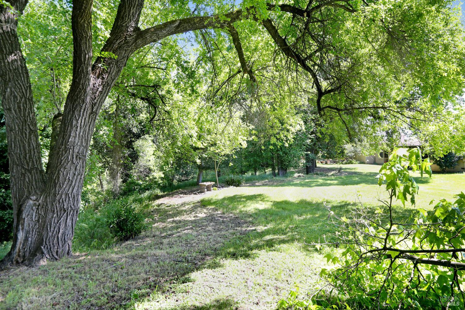 Property photo 31