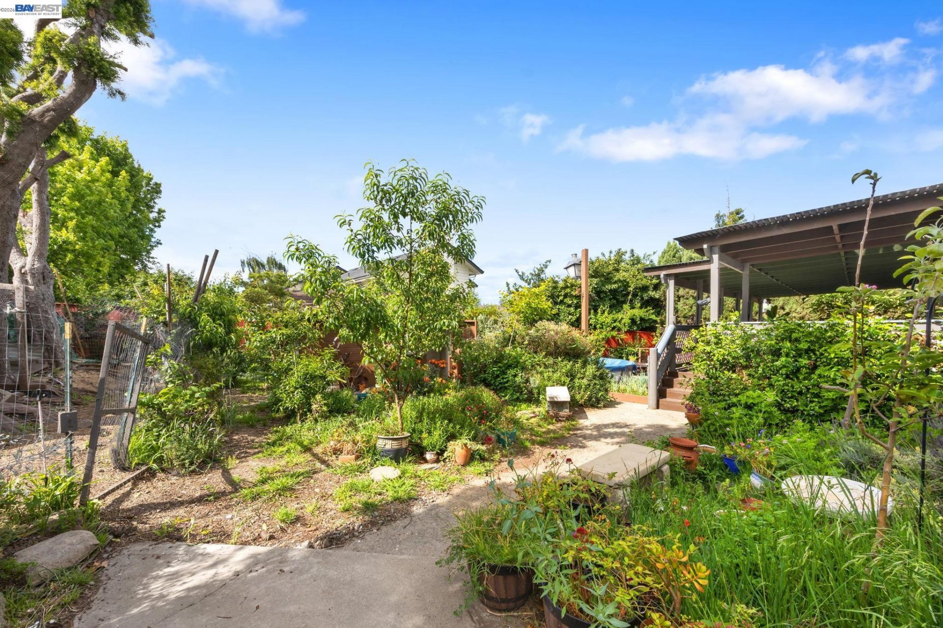 Property photo 41