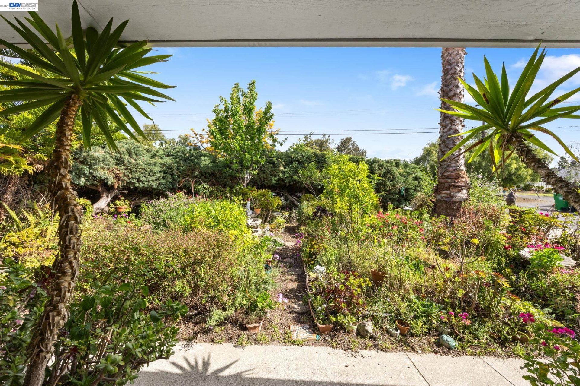 Property photo 48
