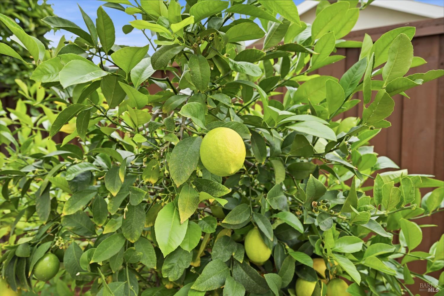 Property photo 24
