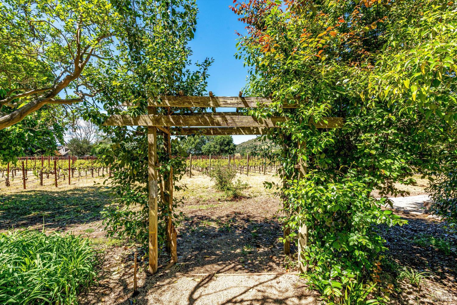 Property photo 37