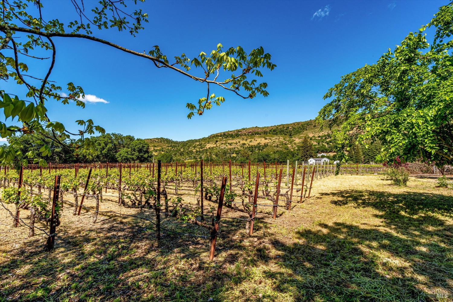 Property photo 51