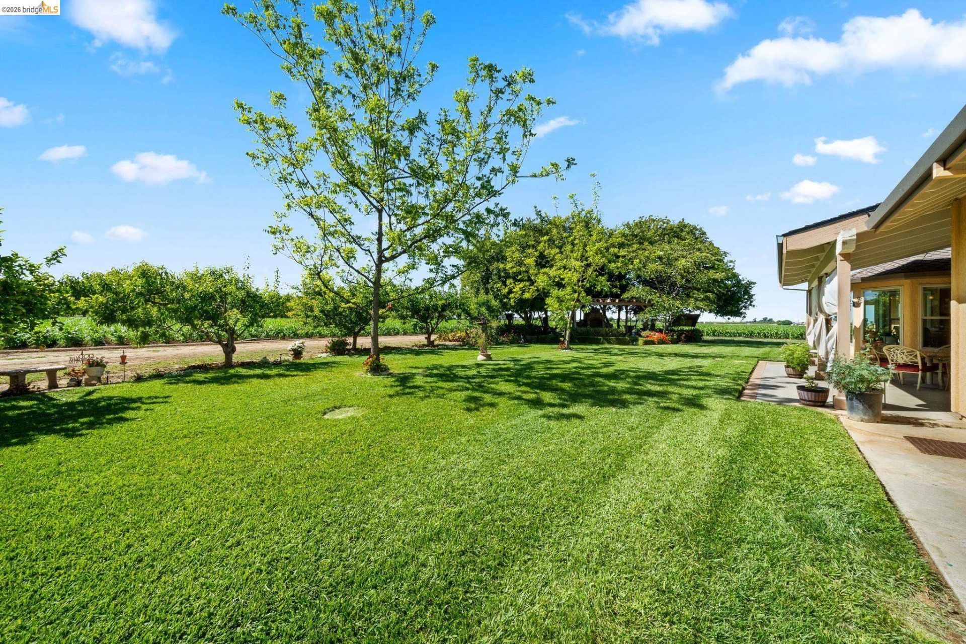 Property photo 39