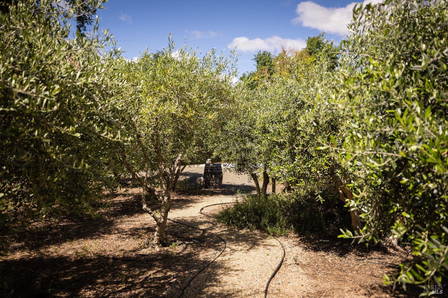 Property photo 36