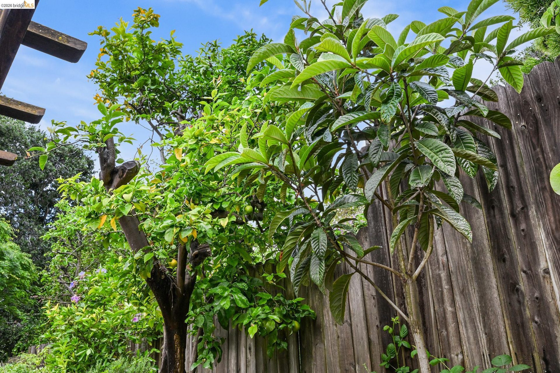 Property photo 47