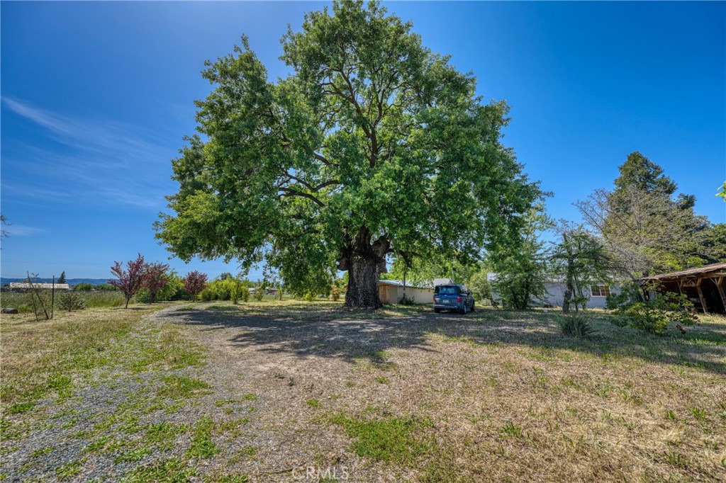 Property photo 48