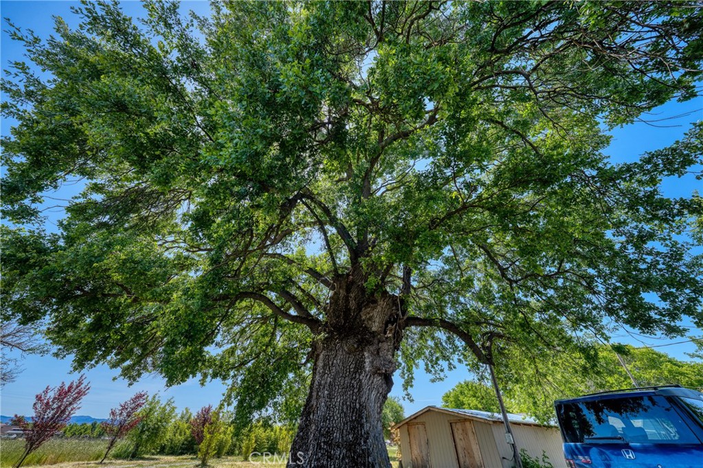 Property photo 49