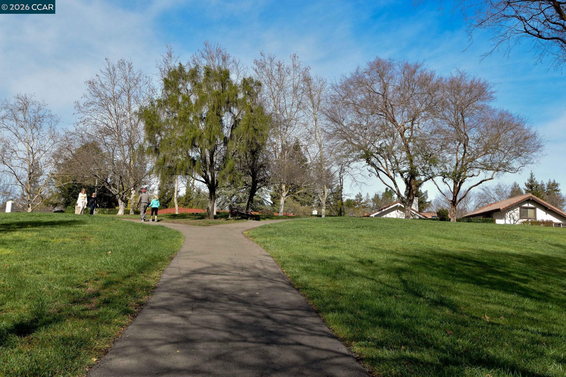Property photo 47