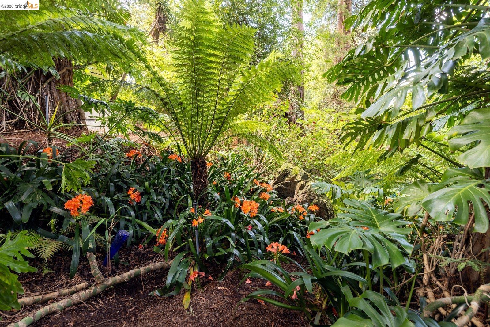 Property photo 44