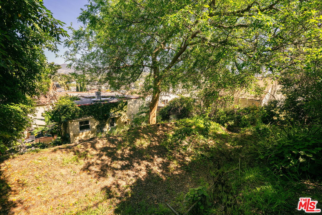 Property photo 35
